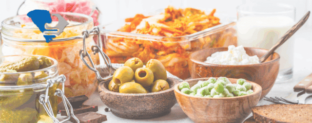 bowls of different probiotic and prebiotic rich foods
