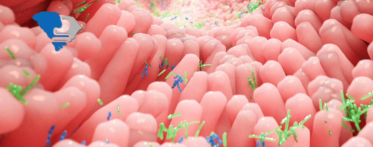 Colorful bacteria on pink gut villi illustrate the microbiome's influence on digestive health.